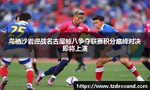 3003新葡的京集团官网